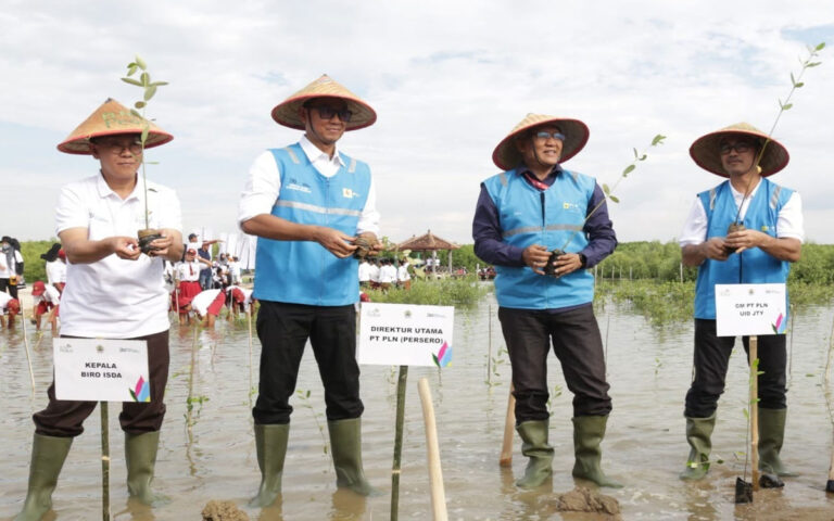 Kaleidoskop 2023: PLN Restorasi 65 Hektare Pesisir Pantura Jateng