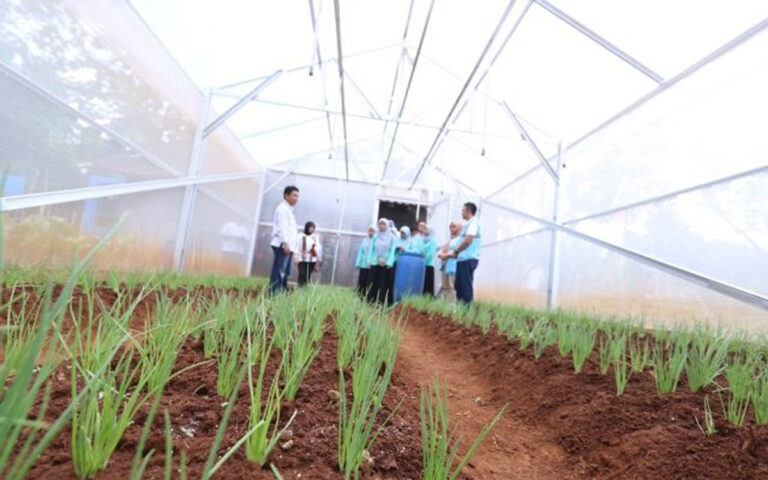 Berdayakan Kampung Madu Kedungpoh, PLN Tanam 4000 Pohon Pakan Lebah