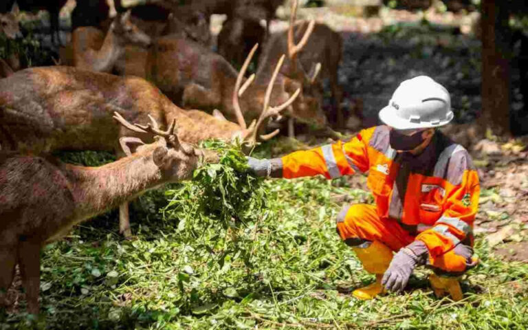 SBI Alokasikan 50% Area Pabrik Cilacap Sebagai Hutan Kota