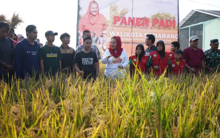 Balai Benih Pertanian Mijen Bakal Dikembangkan Jadi Destinasi Agrowisata