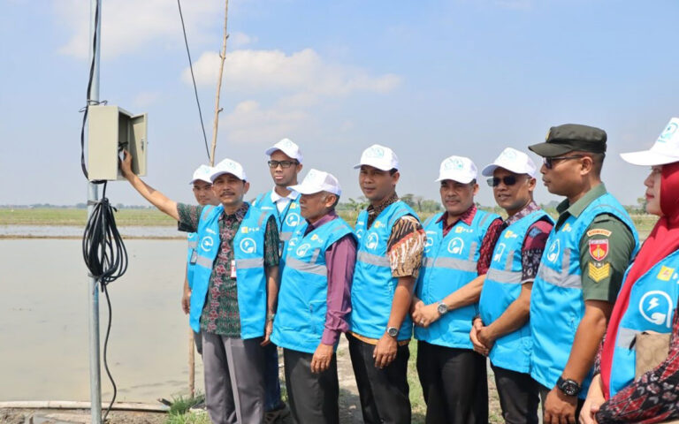 Listrik Masuk Sawah, Petani Sragen Petik Keuntungan 35% Lebih Banyak