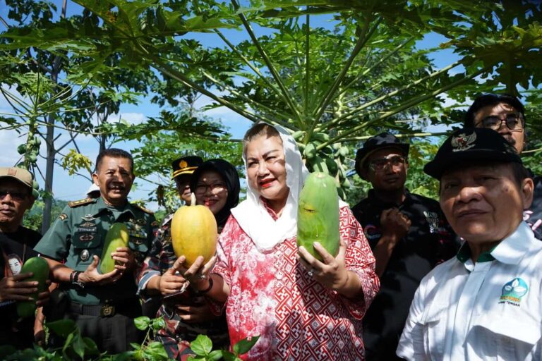 Mbak Ita Dorong Pengembangan Sistem Pertanian Terpadu