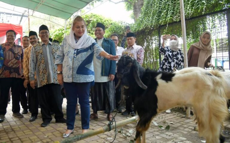 Serahkan Hewan Kurban Wilayah Pinggiran Semarang, Mbak Ita Berharap Pembagian Daging Merata