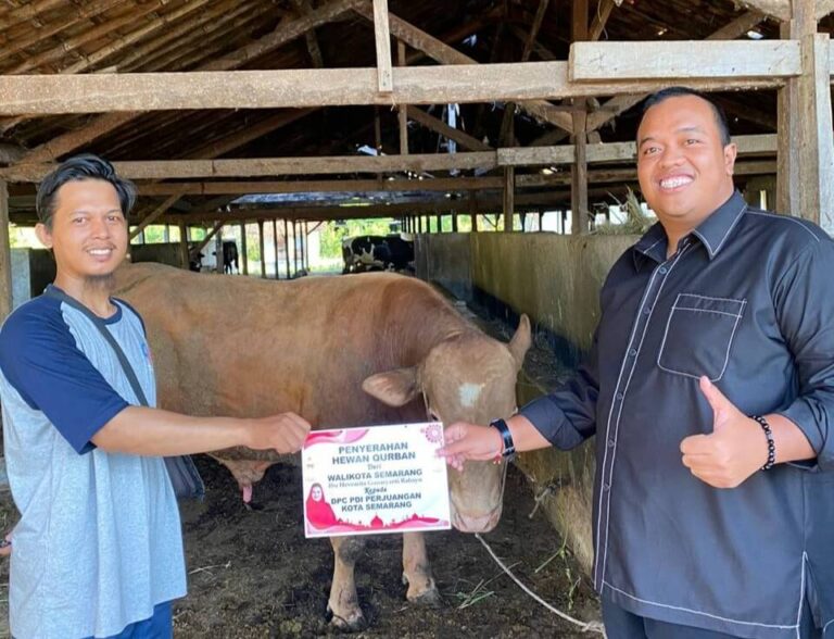 Tak Disembelih Sendiri, Kurban DPC PDI Perjuangan Kota Semarang Dilaksanakan di RPH Penggaron