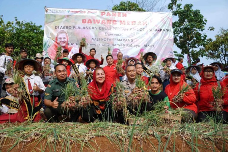 Panen 400 Kilogram Bawang Merah, Mbak Ita Beberkan Kota Semarang Daulat Pangan