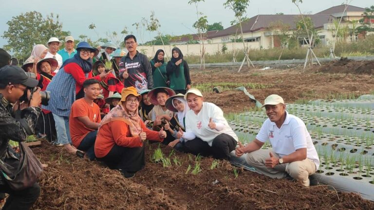 Gandeng BRIN, Mbak Ita Tanam Bawang Merah Lokananta Bisa Panen 20 Ton per Ha