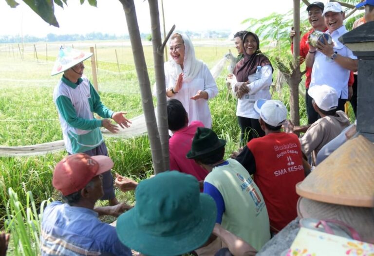 Inovasi Padi Biosalin Pemkot Semarang: Membangun Ketahanan Pangan dan Komitmen Meningkatkan Kesejahteraan Petani Pesisir