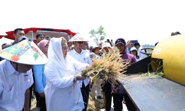 Pemkot Semarang dan BRIN Siap Jadikan Semarang Pionir Budidaya Pangan Berkelanjutan