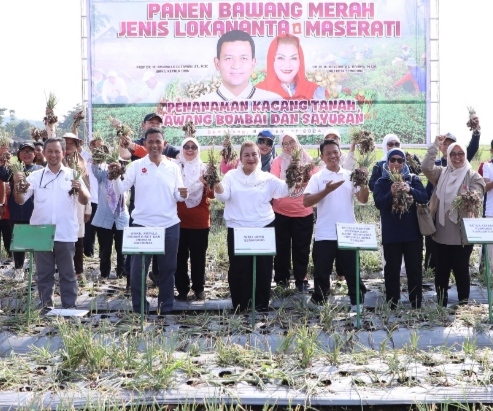 Perkuat Ketahanan Pangan, Bersama BRIN, Pemkot Semarang Sukses Panen Bawang Merah Lokananta dan Maserati
