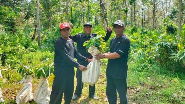 LSM Pampera Bagikan Puluhan Ribu Bibit Pohon di Bantarkawung