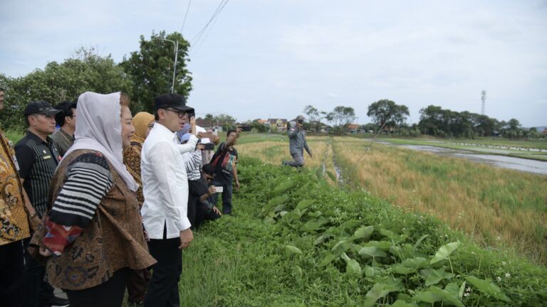 Wamendagri Cek Irigasi Terdampak Normalisasi Sungai di Kota Semarang