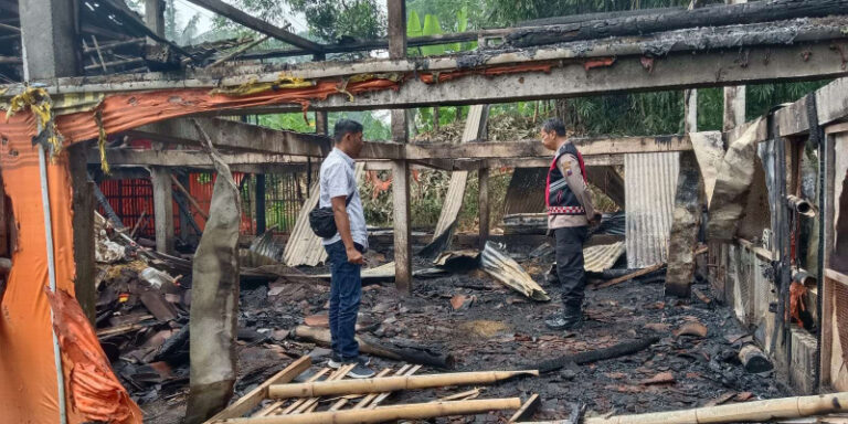 Ribuan Ayam di Kabupaten Semarang Hangus Terbakar