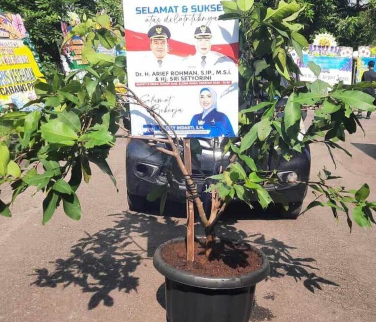 Tren Baru, Kiriman Bibit Tanaman Gantikan Karangan Bunga Ucapan Pelantikan Bupati Blora