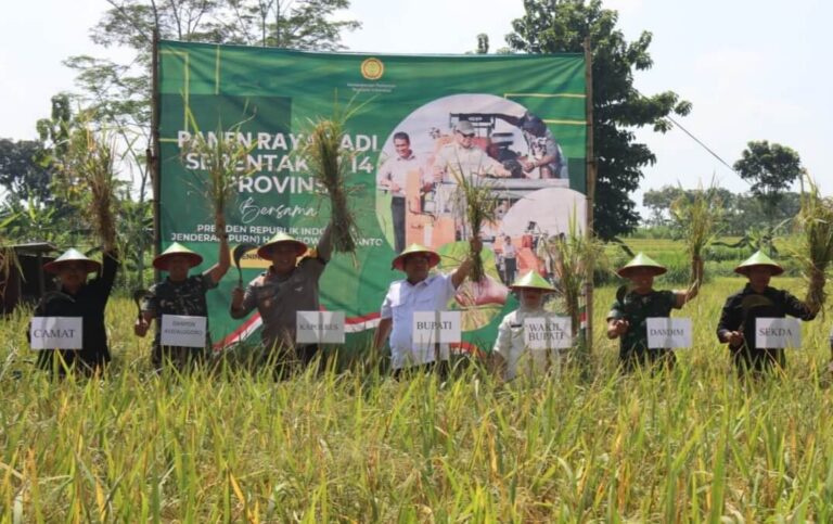 Bupati Blora Gelar Panen Raya Padi Serentak, Dukung Swasembada Pangan Nasional