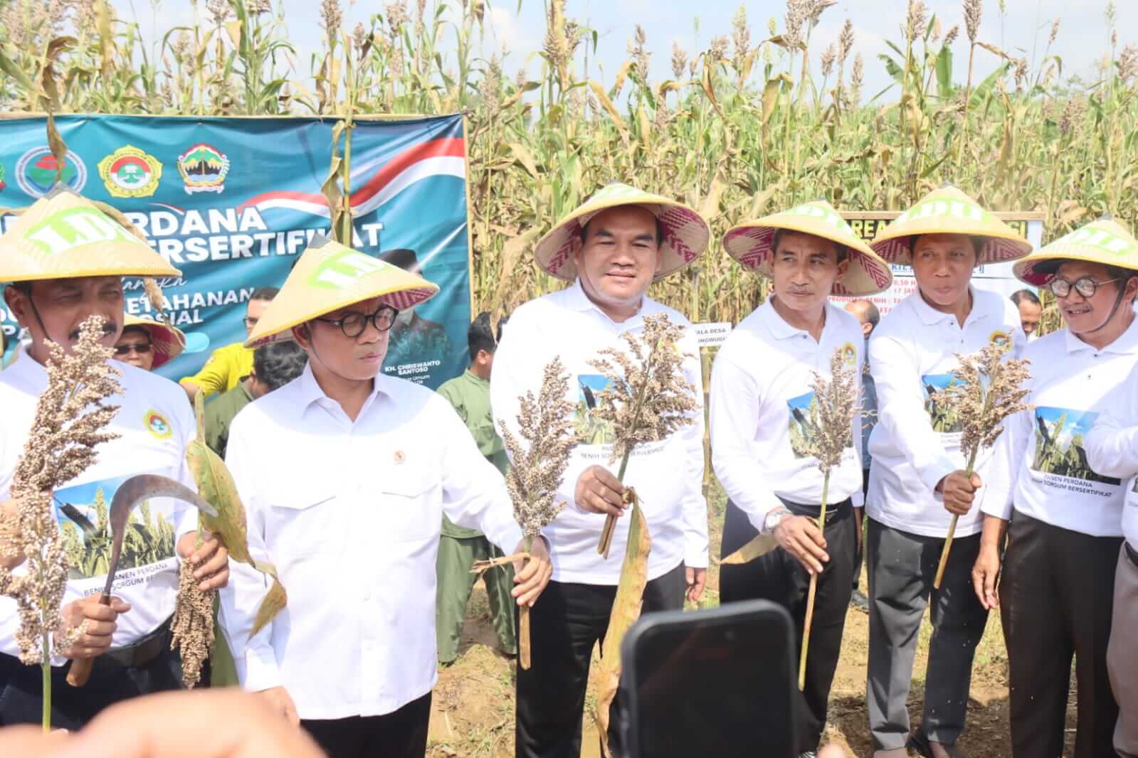 Bupati Blora Arief Rohman, mendampingi Mendes PDT Yandri Susanto, saat panen benih sorgum tersertifikasi di lahan Kelompok Tani Barokah, Desa Kedungwungu, Kecamatan Todanan, Minggu (11/5).(Dok Humas)