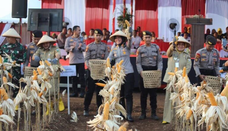 Polres Semarang Gelar Panen Raya Jagung Dukung Ketahanan Pangan Nasional