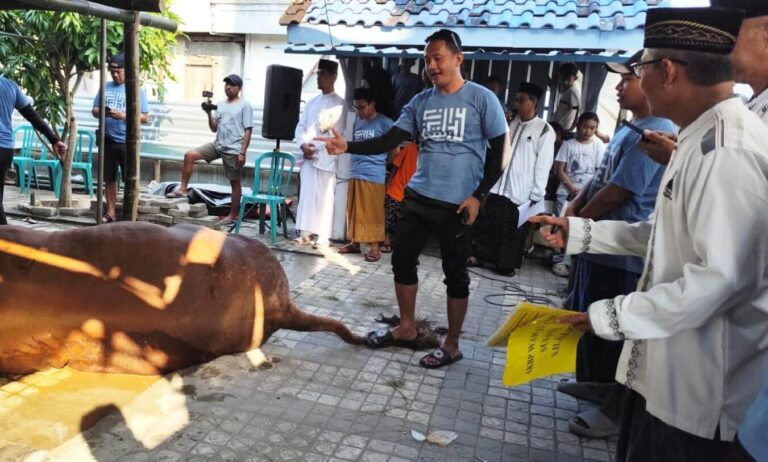 Yayasan Masjid Moetiah melakukan penyembelihan hewan kurban pada Idul Adha 1446 H, Jumat (6/6).(Foto Ist)