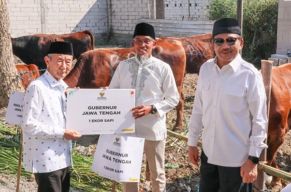 116 ekor sapi kurban dalam rangka Iduladha 1446 Hijriah, diolah BAZNAS Jateng menjadi kornet.(Foto Ist)
