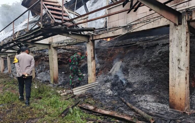 Kebakaran Kandang Ayam