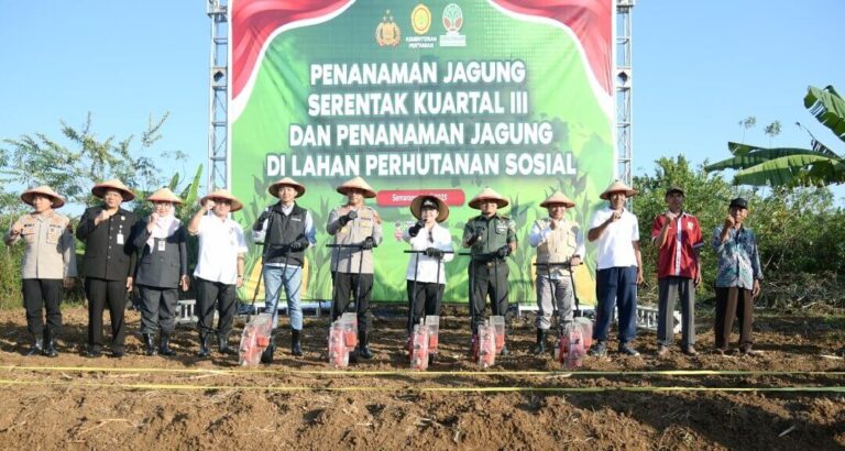Agustina Wilujeng Pramestuti