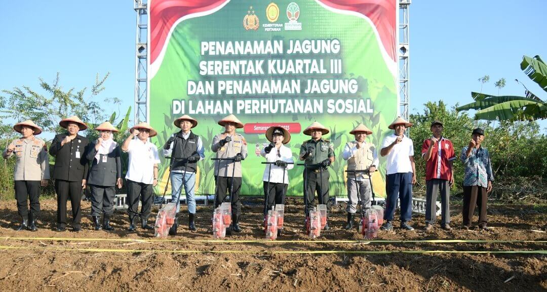 Agustina Wilujeng Pramestuti