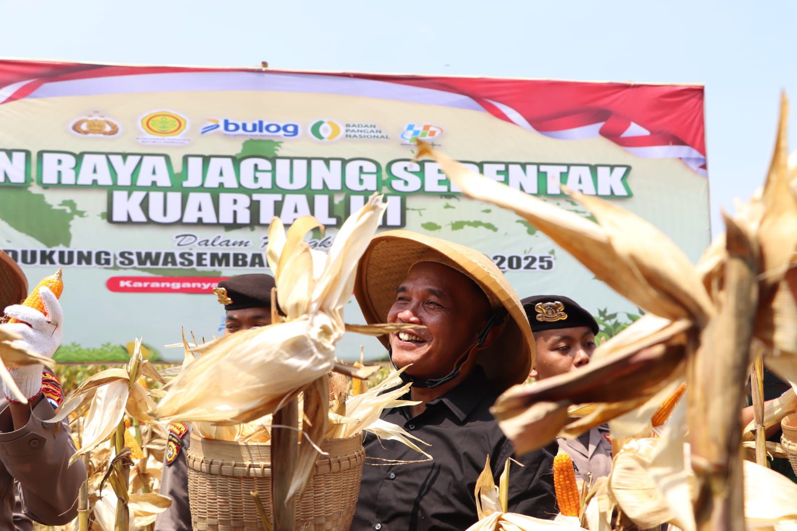 Ketua DPRD Jateng Sumanto ikut panen raya jagung di Karanganyar. (FOTO: Dok Humas)