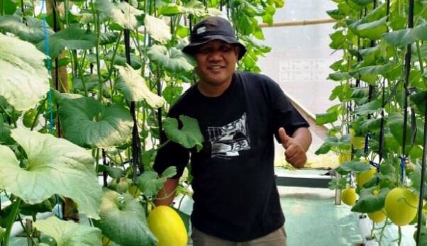 TnJ Farm Blora