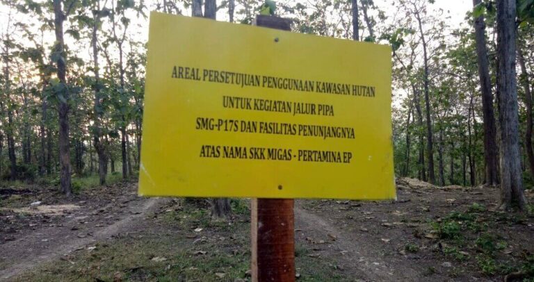 Perhutani KPH Cepu