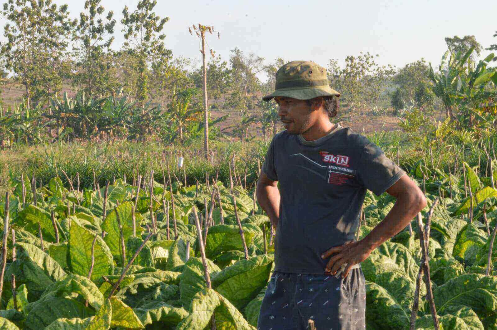 Petani Muda Blora