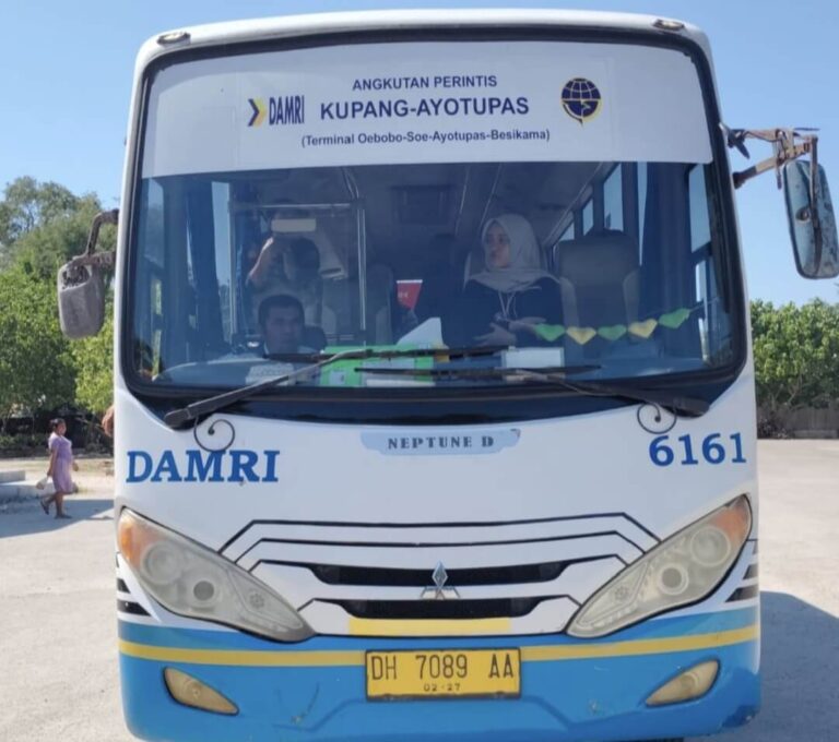 Bus Angkutan Perintis, Kebutuhan Mendesak di NTT