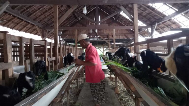 Kelompok Peternak Kambing Mendho Joyo