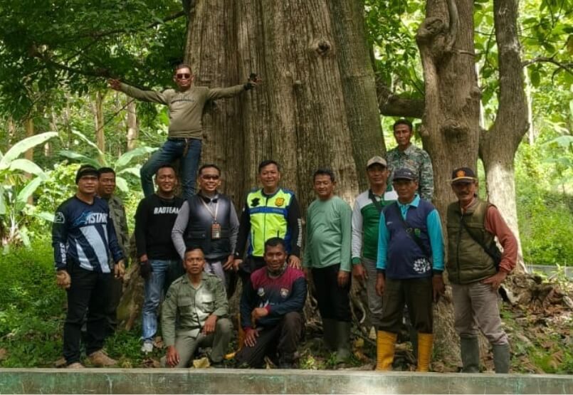 Perhutani Randublatung