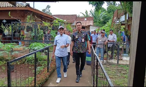 Bupati Jepara Witiarso Utomo mengunjungi peternakan kambing boer milik Marsudi di desa bawu, kecamatan batealit, Selasa (11/11). [Foto: Dok Inews.id]