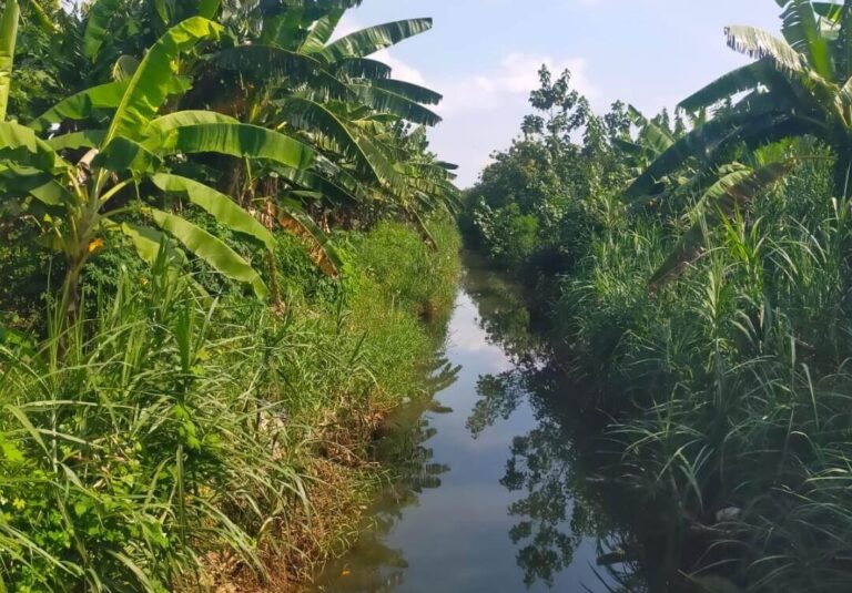 Sungai Plumbon Semarang