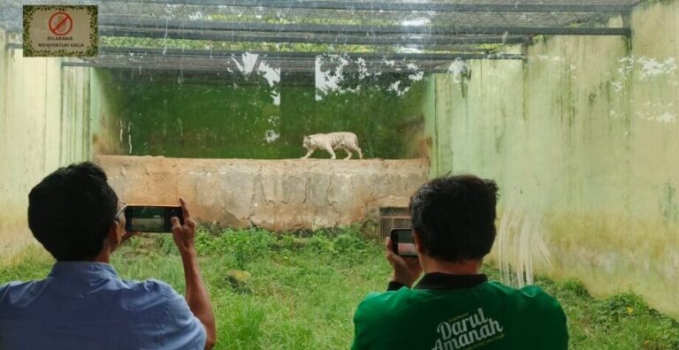 Satwa di Semarang Zoo