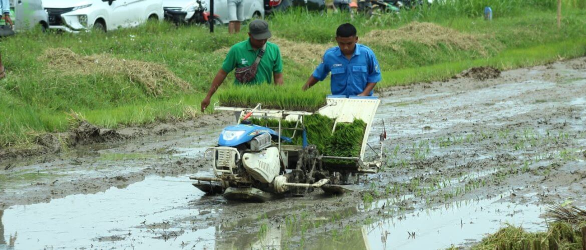 Pertanian Rembang