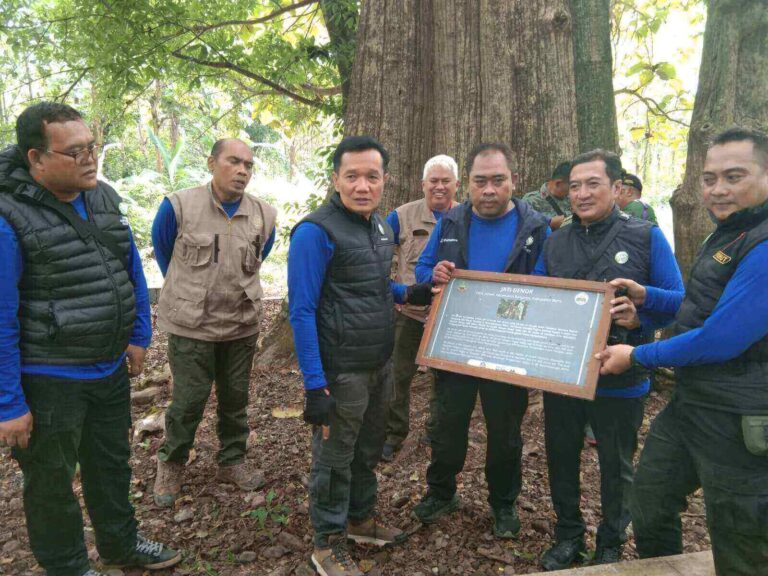Perhutani KPH Randublatung