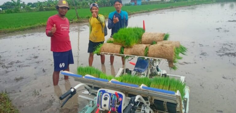 Petani Rembang