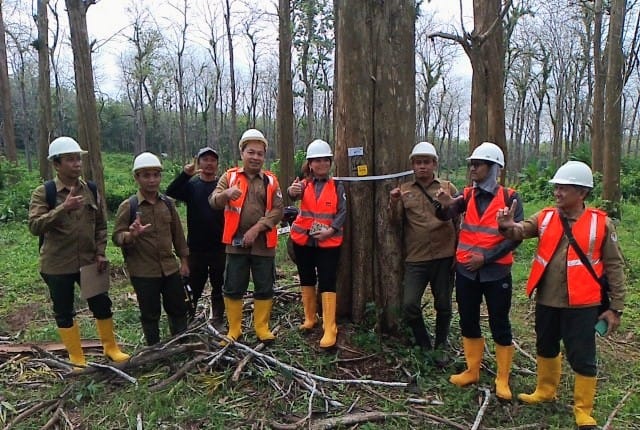 Perhutani Kebonharjo