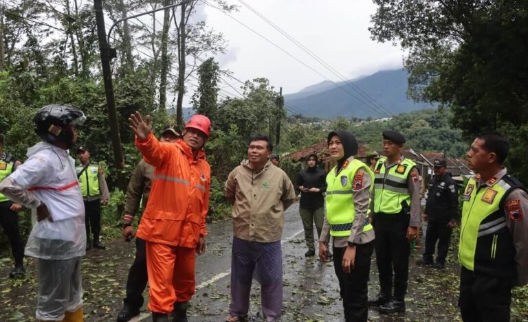 Pohon Tumbang Tutup Jalan Kalirejo–Kalongan