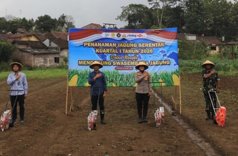 Polres Semarang Tanam Jagung Serentak