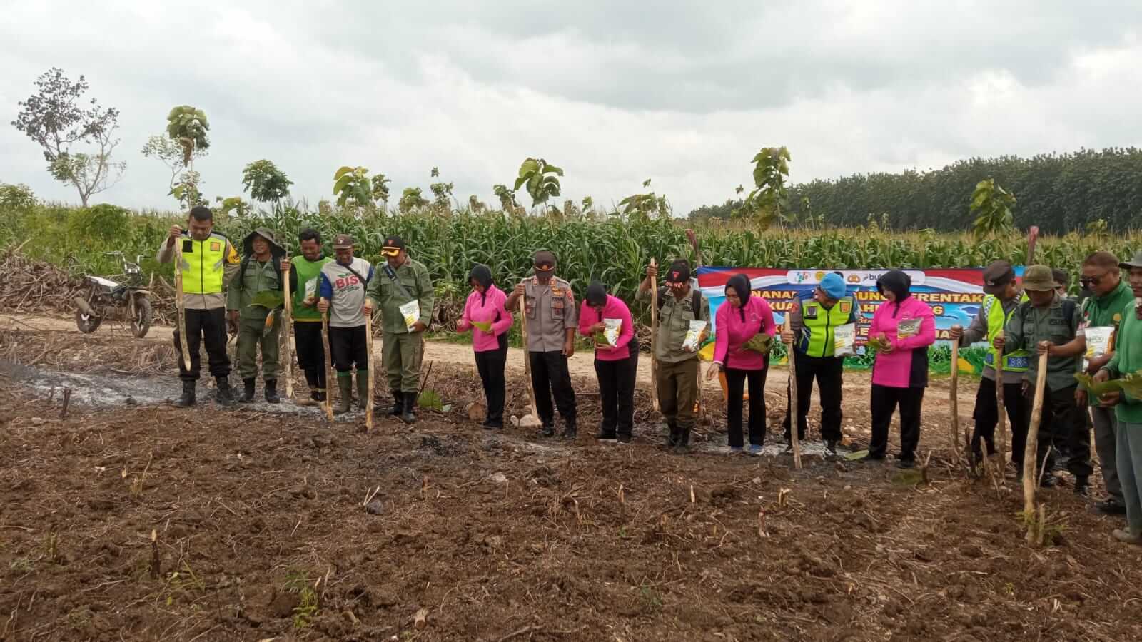 Perhutani Blora Tanam Jagung