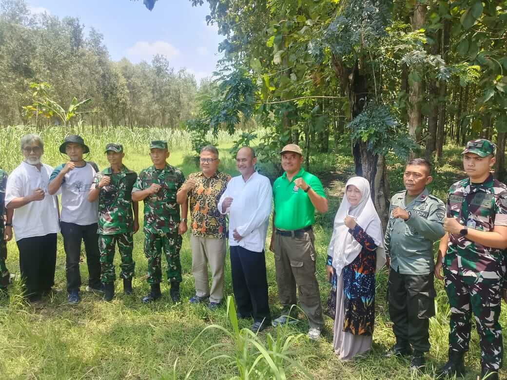 Pembangunan Batalyon TP