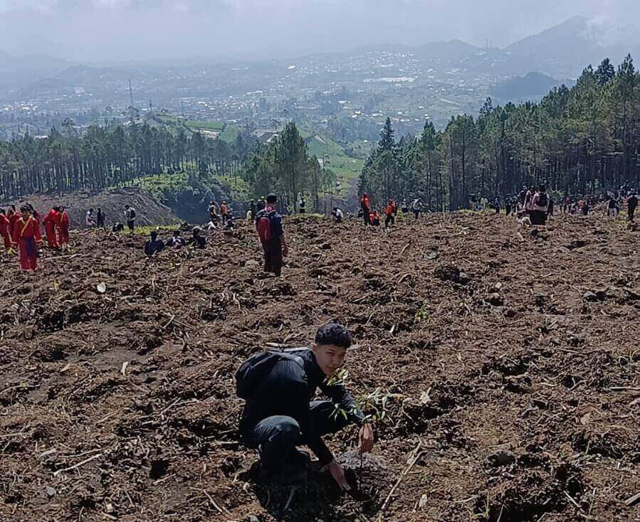 Penanaman pohon di lereng Gunung Slamet