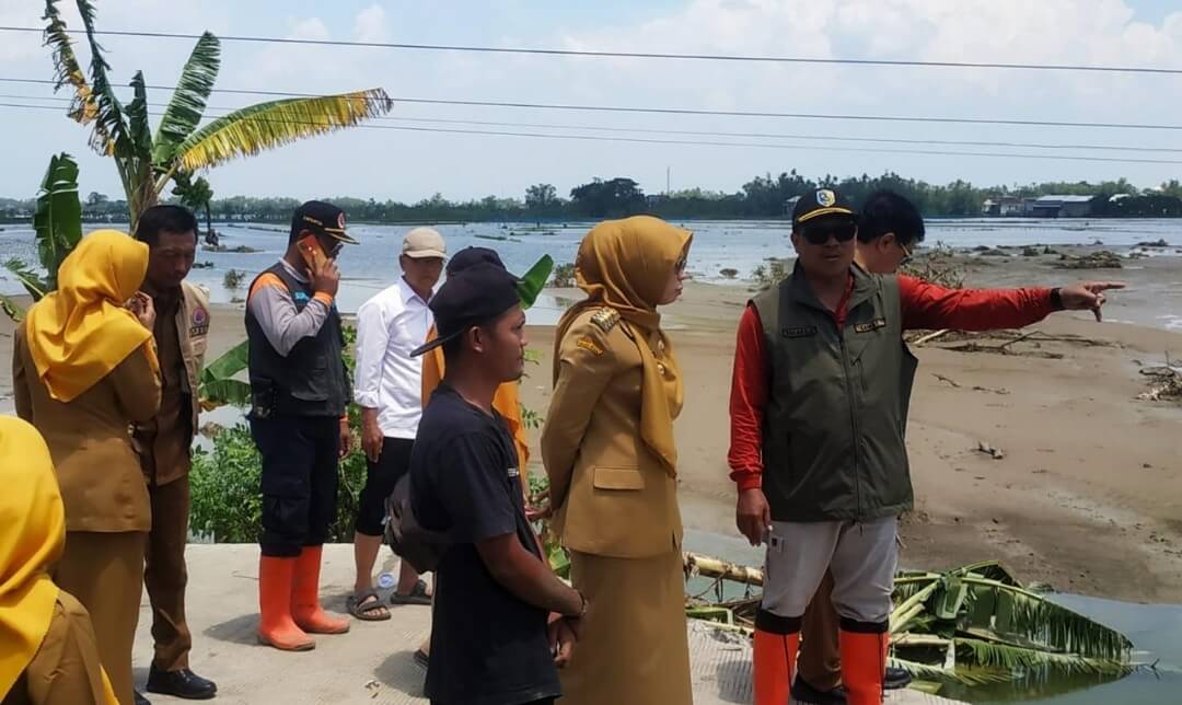 Bupati Demak meninjau tanggul Sungai Tuntang yang jebol