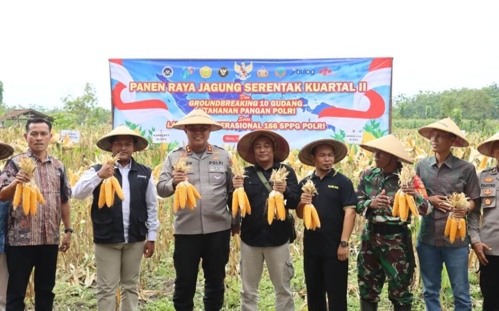Panen Raya Jagung Polres Blora