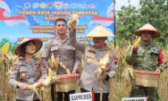 Panen Raya Jagung Polres Demak Capai 4 Ton, Perkuat Stok Pangan Daerah