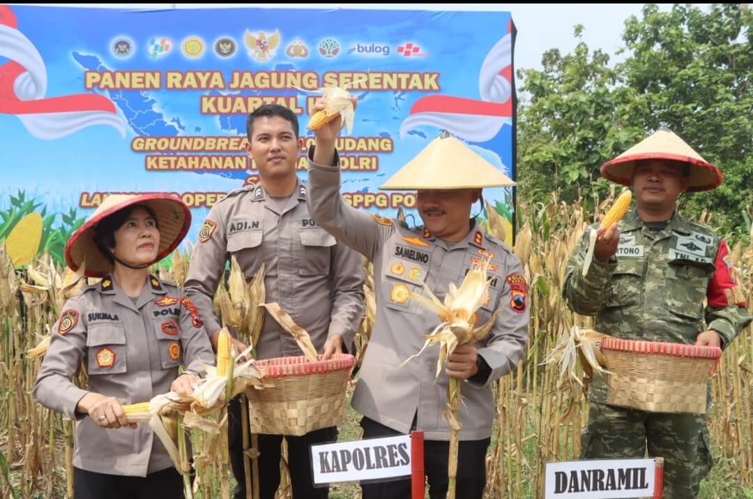 Panen Raya Jagung Polres Demak