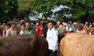 Sidak Pasar Pon, Bupati Blora Pastikan Hewan Kurban Sehat Jelang Iduladha