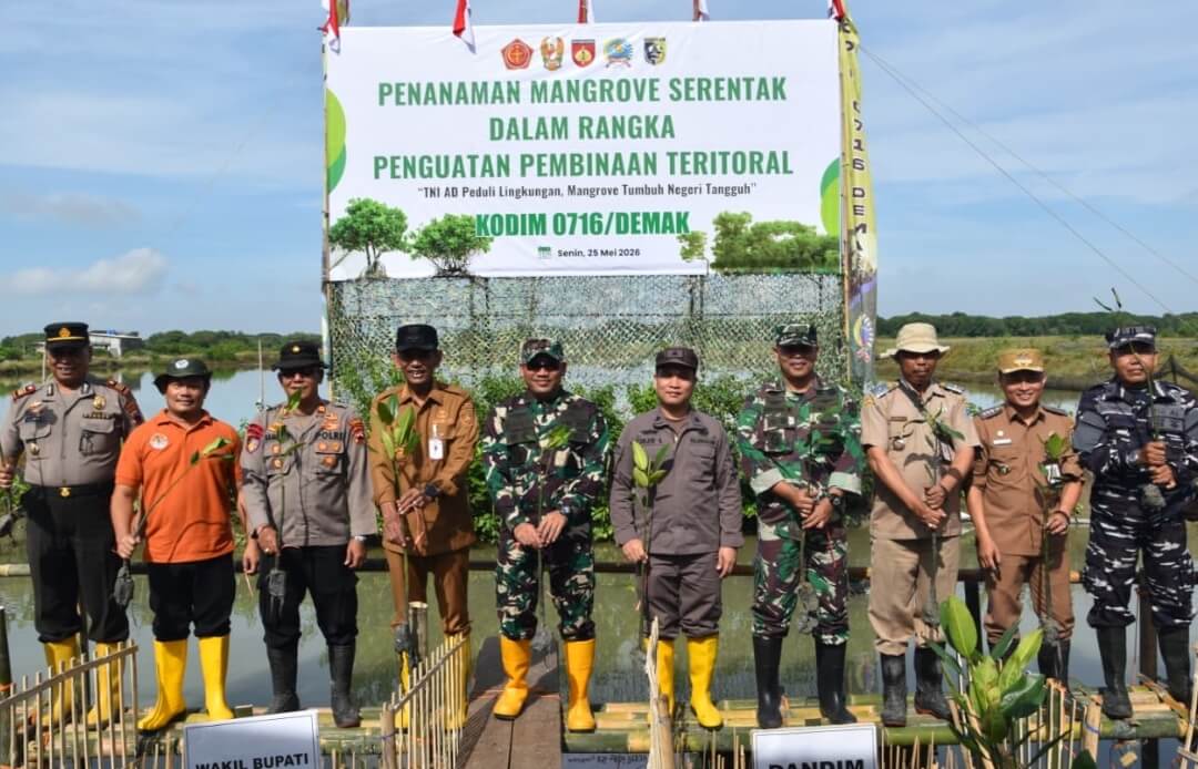 Pemkab Demak bersama Kodim 0716/Demak tanam mangrove
